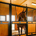 GL431 Horse in stall sound by ITT Products-0