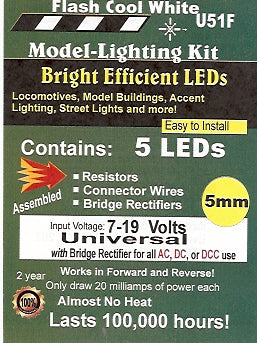 U51F 5 mm Bright Flashing Cool White LED, Pkg=5 by Evan Designs-0